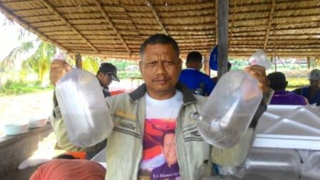 Pembudidaya Tambak di Pinrang Butuh 720 Juta Ekor Benur Windu