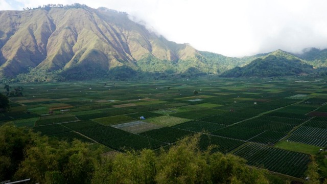 Bukit Selong, Lombok (Foto: Aditia Noviansyah/kumparan)