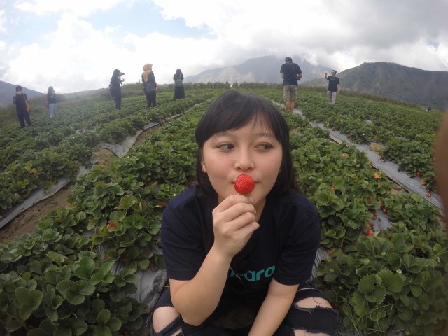 Keindahan di Pintu Rinjani, Sembalun (6)