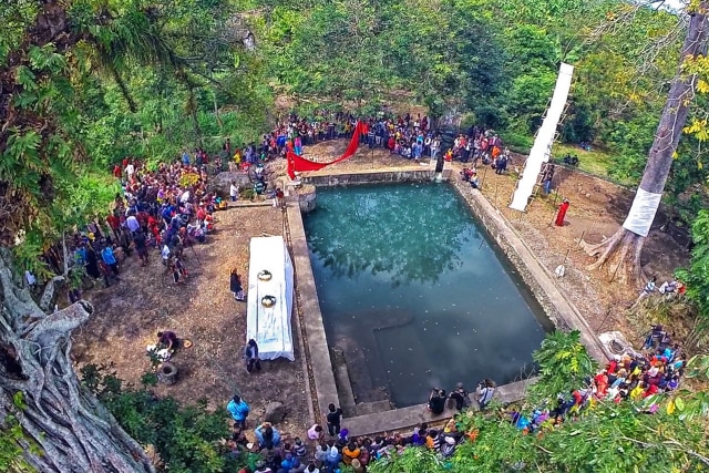 APA ITU UPACARA KEBO KETAN DI NGAWI ?  (1)
