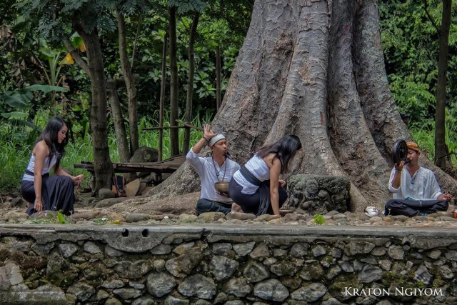 APA ITU UPACARA KEBO KETAN DI NGAWI ?  (5)