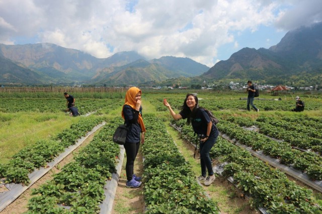 5 Tempat Wisata di Kaki Gunung Rinjani, Sembalun (3)
