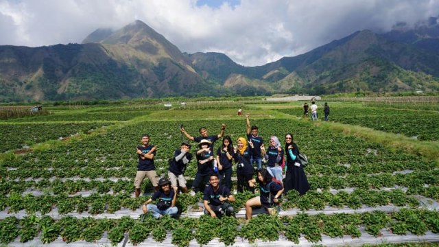 Rangkuman Video Kumparan Getaway Sembalun