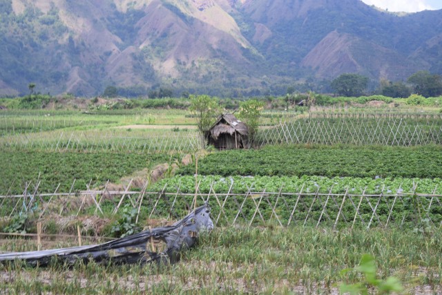 Program CSR BNI untuk tanah Sembalun (1)