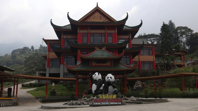 Giant Panda Betina Hu Chun (Foto: Fanny Kusumawardhani/kumparan)