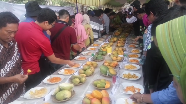 Mangga Indonesia Berpotensi Jadi Jawara Dunia (1)