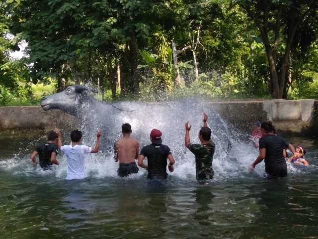 Mengapa Kebo, Mengapa Ketan ?  (3)