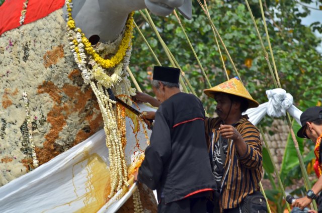 Mengapa Kebo, Mengapa Ketan ?  (10)