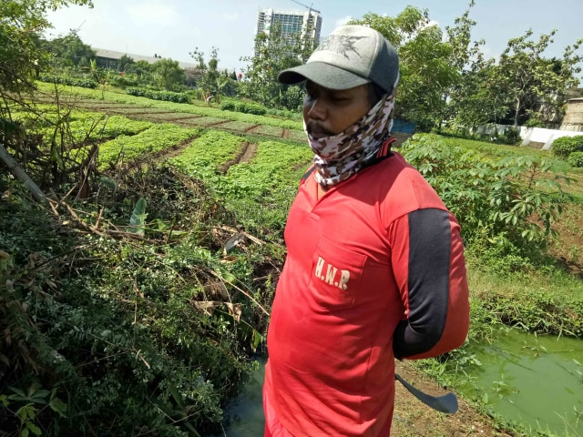 Petani di Ibukota: Profesi Antara Ada dan Tiada