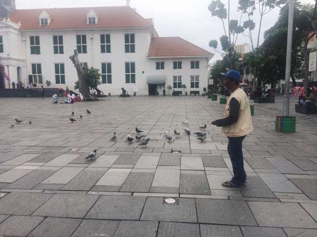 Memberi Makan Burung Merpati Menjadi Sebuah Atraksi Wisata