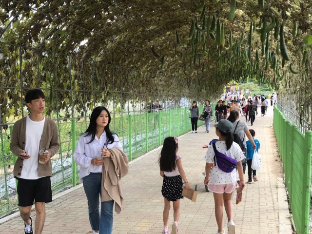 Wisatawan di Korea Selatan (Foto: dok: Aji Surya)