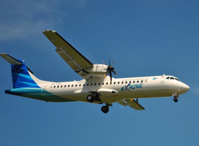 Ilustrasi pesawat carter (Foto: Dok. Wikipedia)