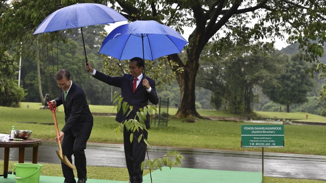 Jokowi dan Presiden Korsel Moon Jae-in (Foto: ANTARA/Puspa Perwitasari)