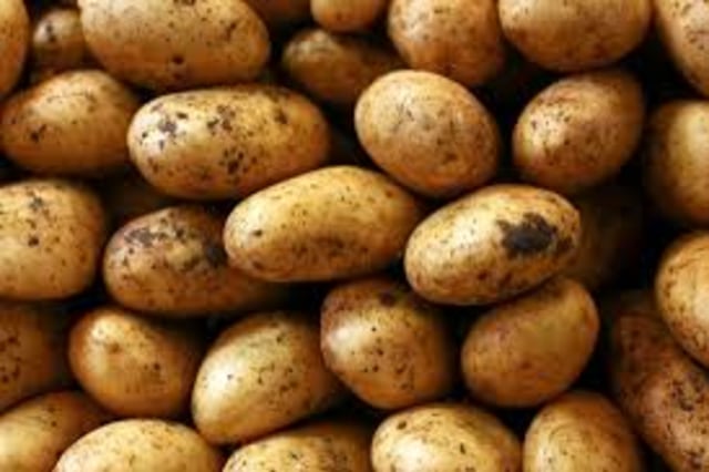 Beracun tapi dikonsumsi: Solanum tuberosum