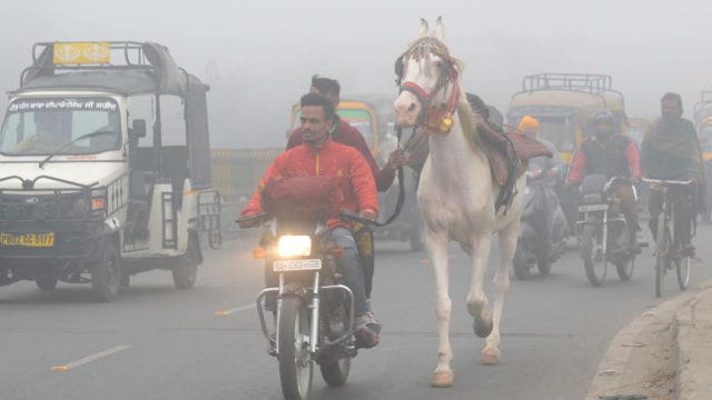 Polusi udara yang parah di New Delhi, India (Foto: Narinder Nanu/AFP)