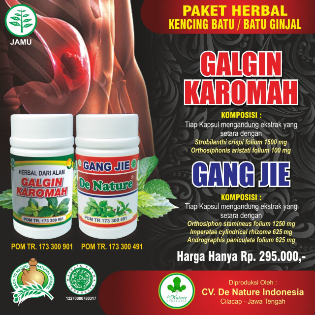 NAMA OBAT PENGHANCUR BATU GINJAL DI APOTIK YANG AMPUH RESEP DOKTER