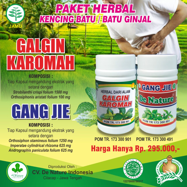 DISTRIBUTOR OBAT BATU GINJAL DI APOTIK ANJURAN DOKTER