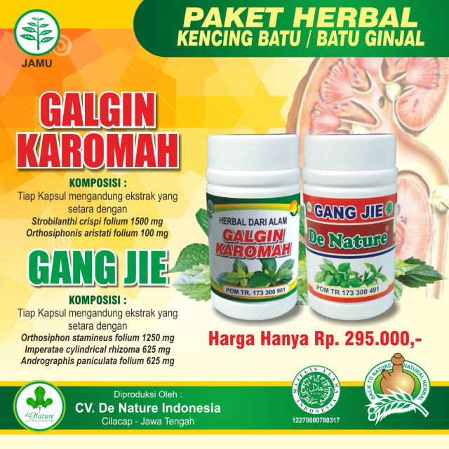DISTRIBUTOR OBAT BATU GINJAL DI APOTIK ANJURAN DOKTER (1)