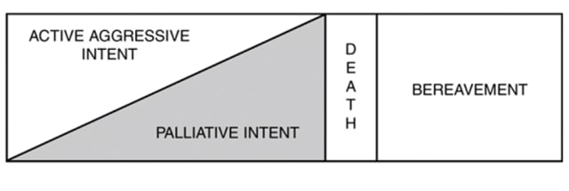 Curative dan paliative (Foto: WHO)