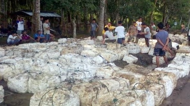 Ilustrasi Pabrik Karet (Foto: ANTARA)