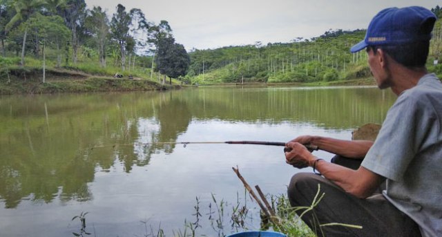 Wajib Dijajal! Mancing di Suasana Alami Cekdam Situ Waluran Indah