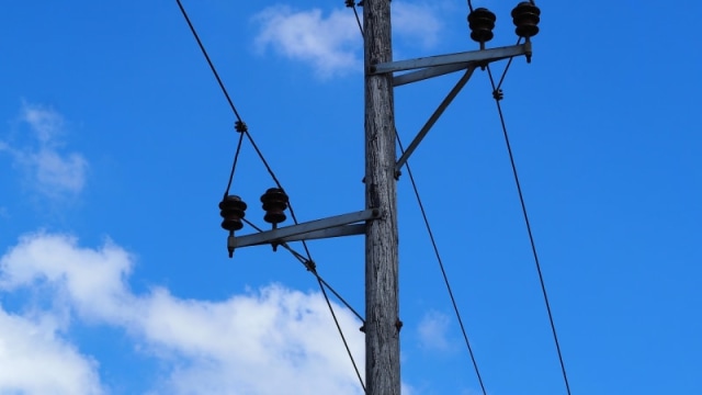 Wawancara Eksklusif dengan Tiang Listrik