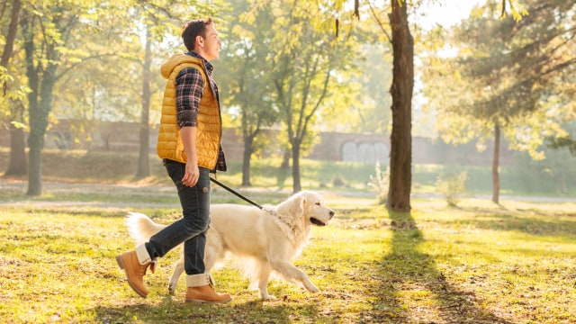 Ajak hewan peliharaan untuk menemani berjalan (Foto: Thinkstock)