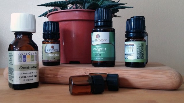 Eucalyptus Oil (Foto: Pixabay)