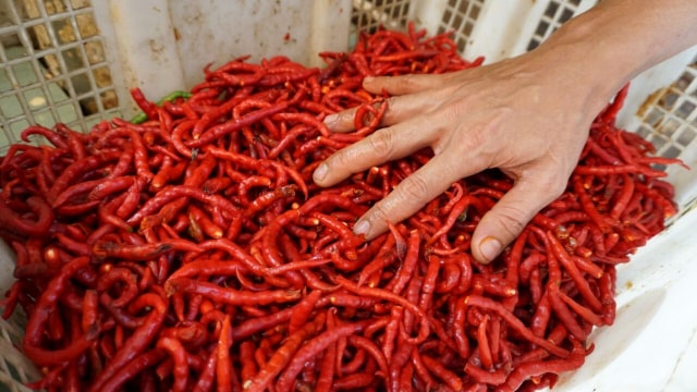 Cabai merah di Pasar Minggu (Foto: Iqbal Firdaus/kumparan)