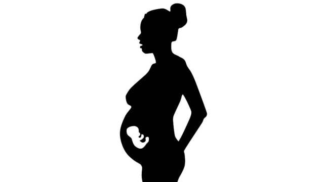 Bayi dalam Kandungan (Foto: Pixabay)
