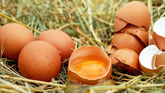 Manfaat Mengkonsumsi Telur Selama Kehamilan (Foto: Pixabay)