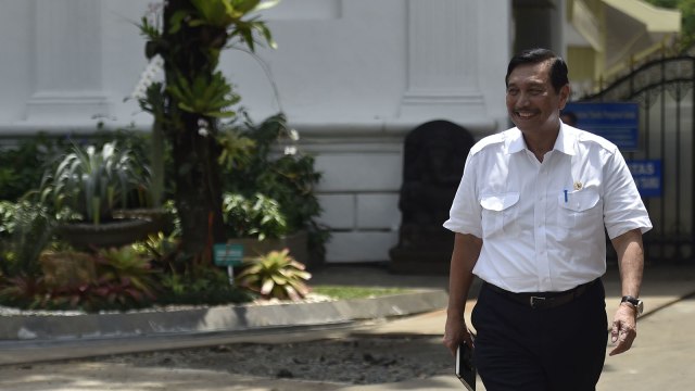 Luhut Panjaitan (Foto: ANTARA FOTO/Puspa Perwitasari)
