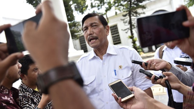 Luhut Panjaitan (Foto: ANTARA FOTO/Puspa Perwitasari)