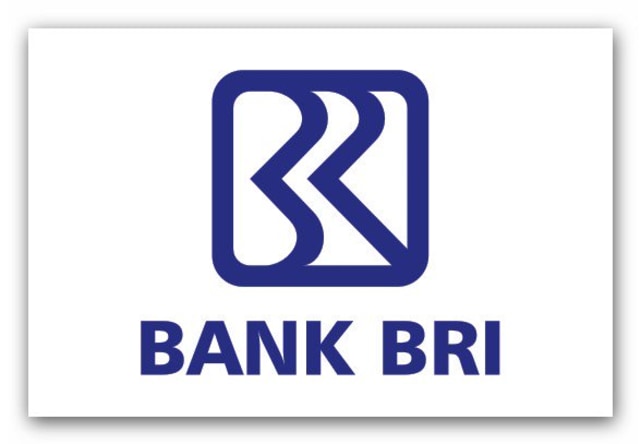 Upaya BRI Membangun Negeri