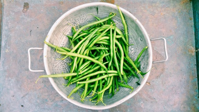 Buncis memiliki karakteristik seperti buah. (Foto: Pixabay)