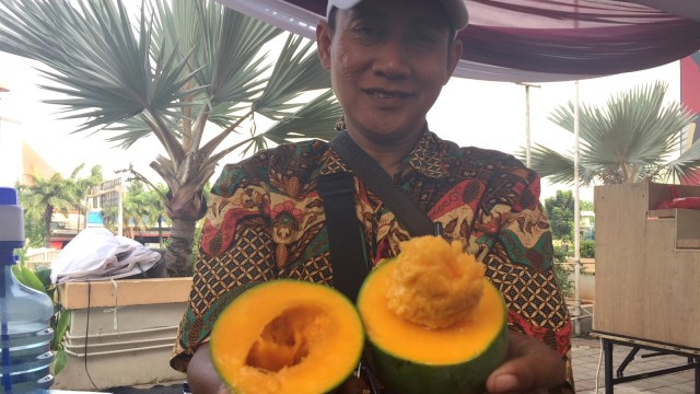 Mangga alpukat, hasil pertanian petani Pasuruan (Foto: Siti Maghfirah/kumparan)