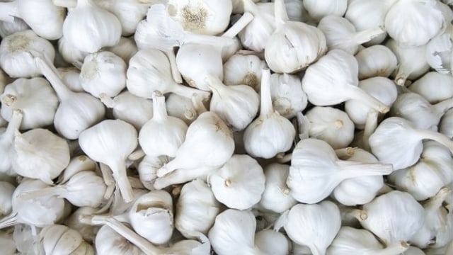 Ilustrasi bawang putih. Foto: Dok.Pixabay
