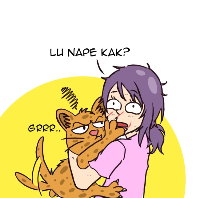 PERSELINGKUHAN (4)