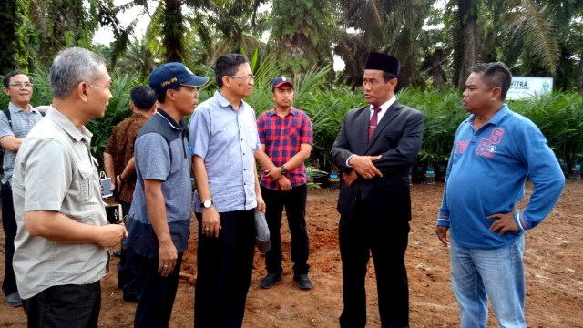 Menteri Pertanian Amran Sulaiman di Deli Serdang (Foto: Diah Harni/kumparan)