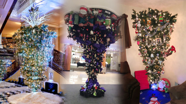 Pohon Natal Terbalik (Foto: Twitter @carleighrogers1 @LucyStaffie @Caterertweets)