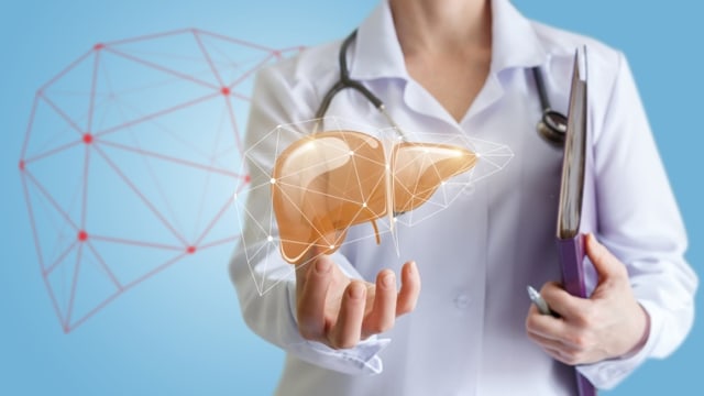 Kesehatan liver  (Foto: Thinkstock)