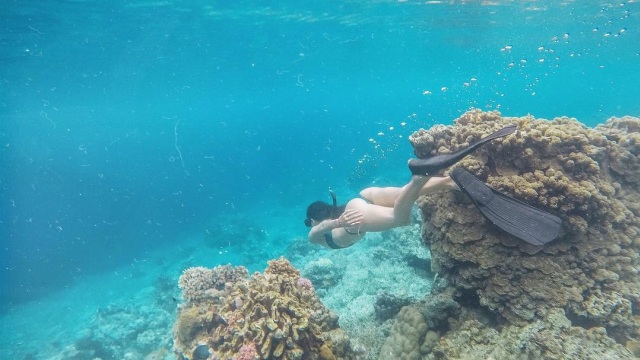 Bawah Laut Moyo (Foto: Instagram/@patriciatsai )