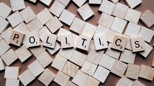 Peluang Generasi Milenial di Kancah Politik (Foto: Pixabay)