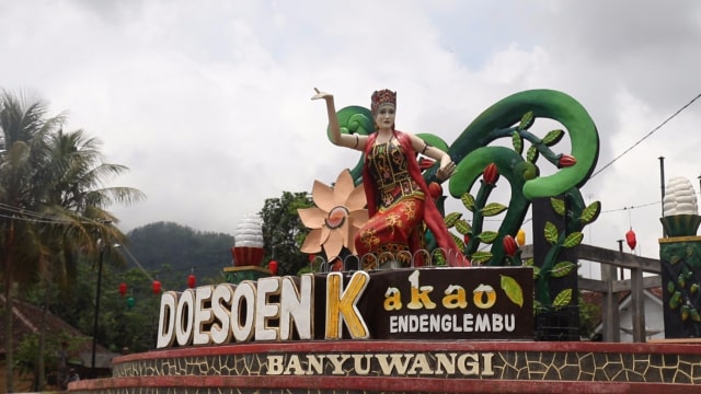 Dusun Kakao di Banyuwangi (Foto: Joseph Pradipta/kumparan)