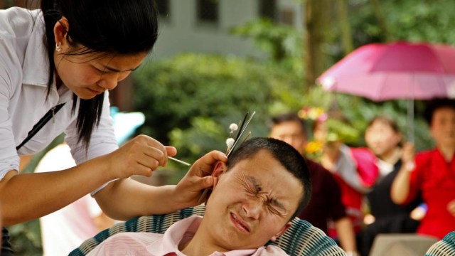 Ilustrasi Korek Kuping (Foto: Wikimedia Commons)