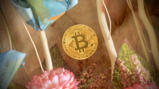 Pernikahan Fajar Widi dengan Mahar Bitcoin (Foto: Dok. Fajar Widi)