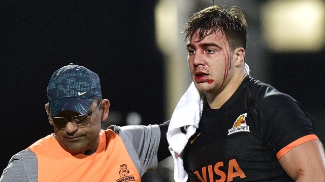 Ilustrasi blood rule dalam rugby. (Foto: Marty Melville / AFP)