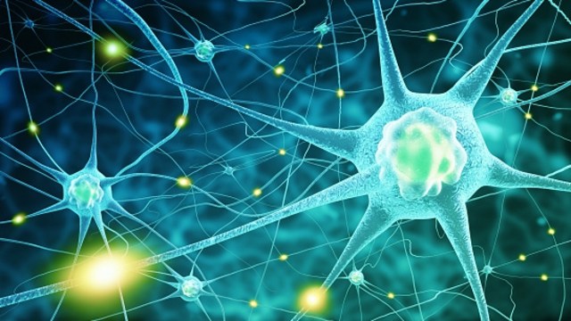 Ilustrasi Sel otak (Foto: Thinstock)