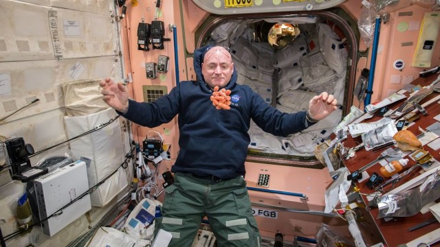 Scott Kelly (Foto: Wikimedia Commons)