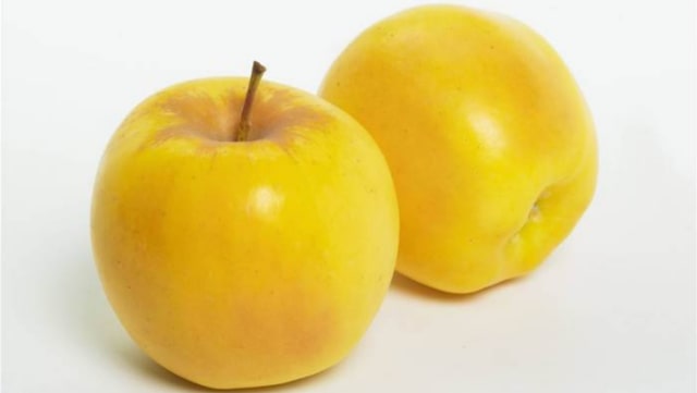 Opal, varietas buah apel berwarna kuning keemasan (Foto: Facebook/ Opal Apple)